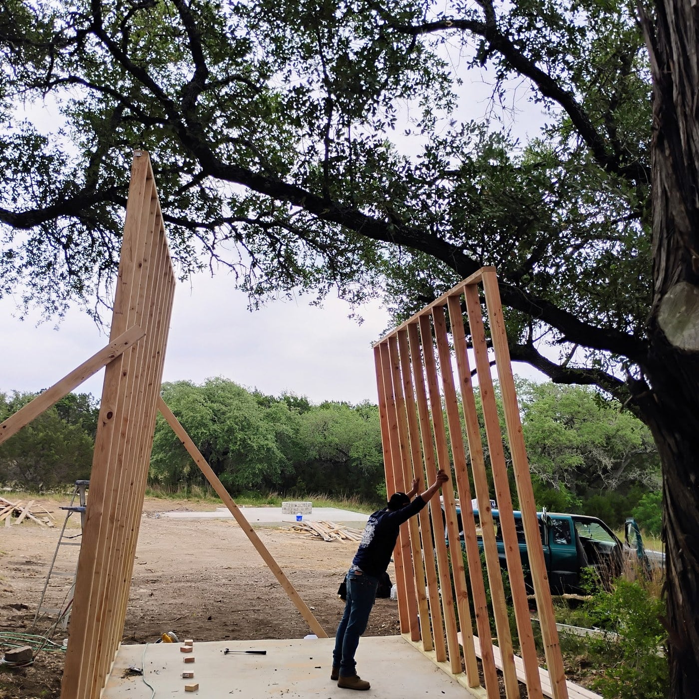 HORRORble set build: walls framed under the oaks
